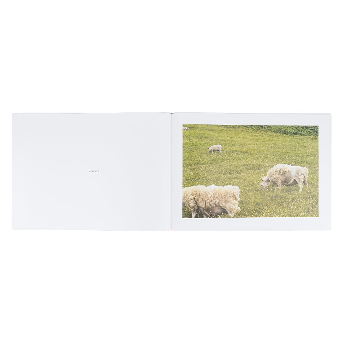 Voyage of Discover Photography Book