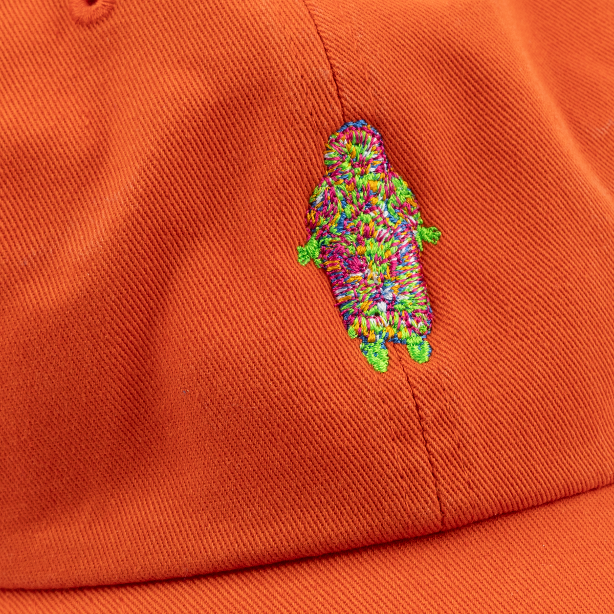 Embroidered Hat
